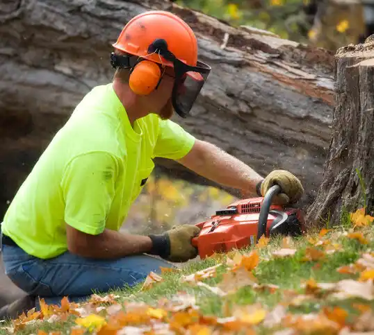 tree services Eatontown